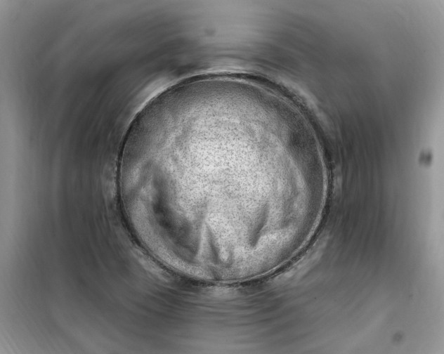 X0000100961409200807081231