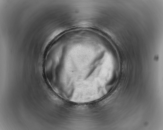 X0000100961410200807081231