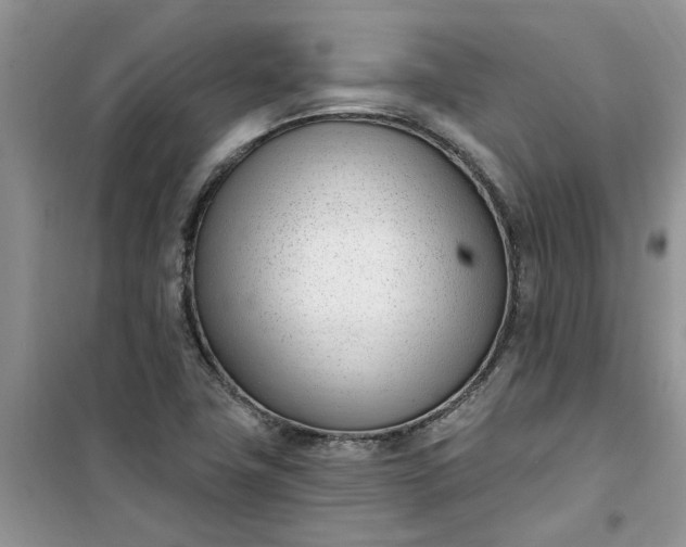 X0000100961411200807081231