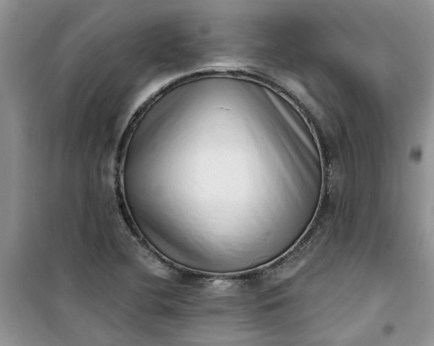 X0000100961412200807081231