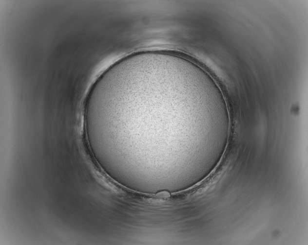 X0000100961413200807081231