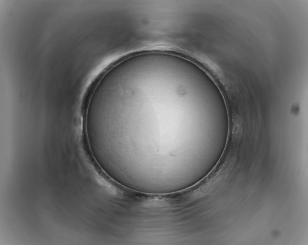 X0000100961414200807081231