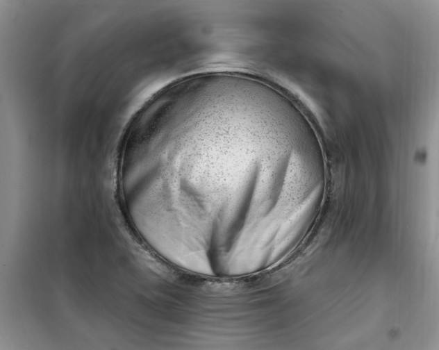 X0000100961415200807081231