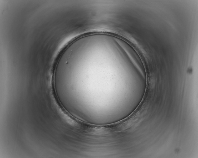 X0000100961416200807081231