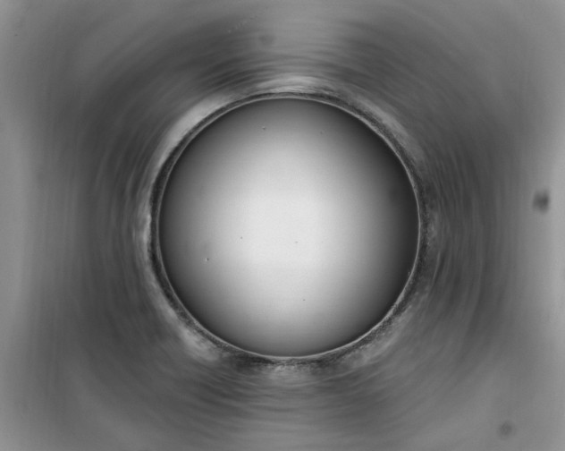 X0000100961418200807081231