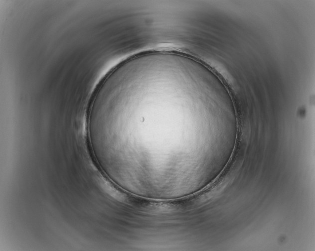 X0000100961420200807081231