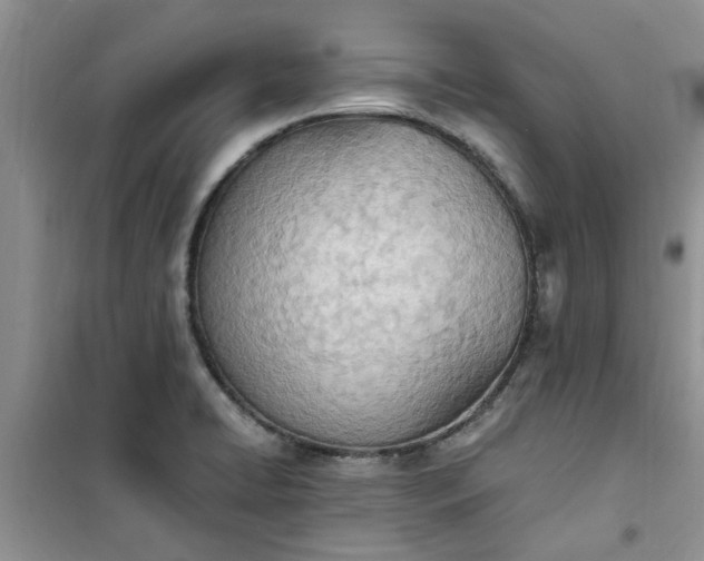 X0000100961422200807081231