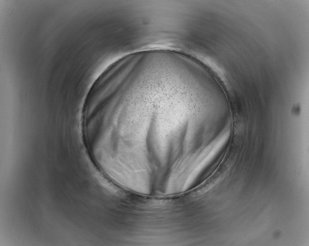 X0000100961423200807081231