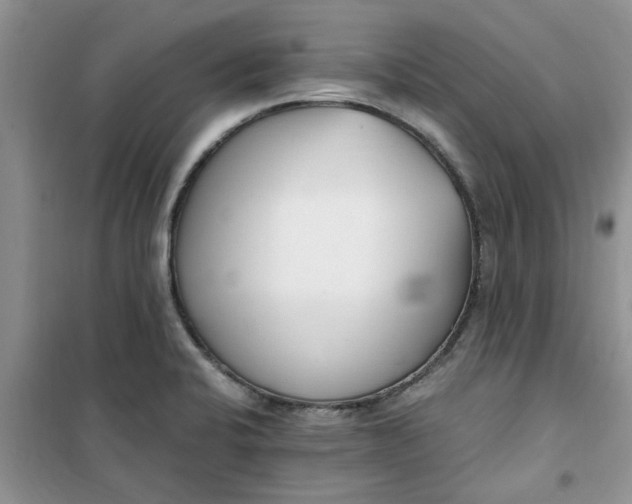 X0000100961424200807081231
