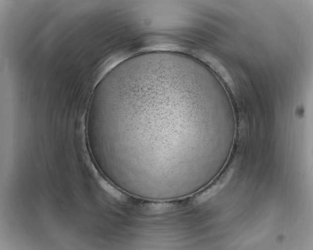 X0000100961425200807081231