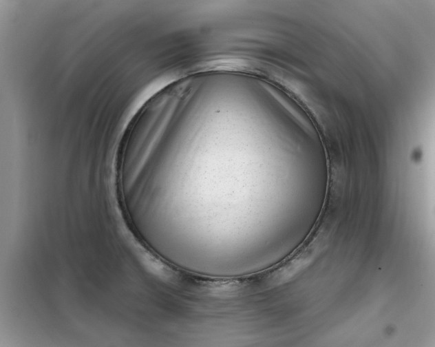 X0000100961426200807081231