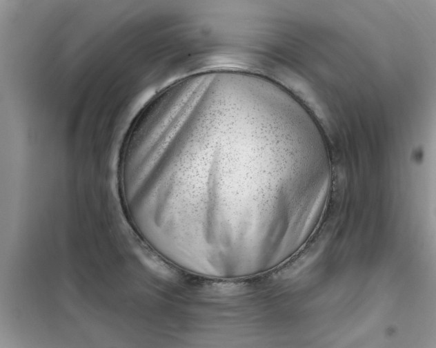X0000100961427200807081231