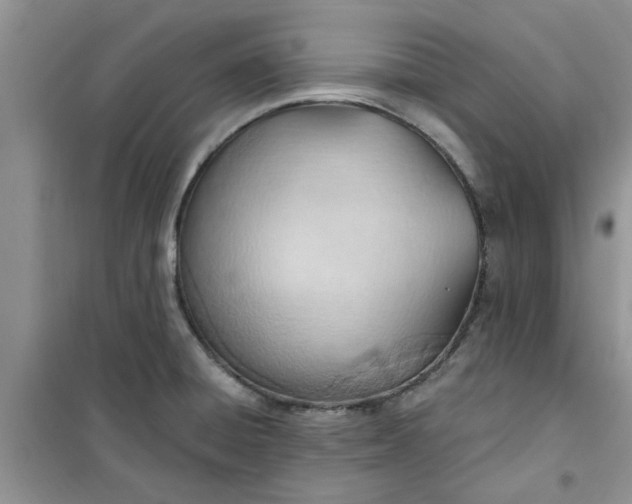 X0000100961428200807081231