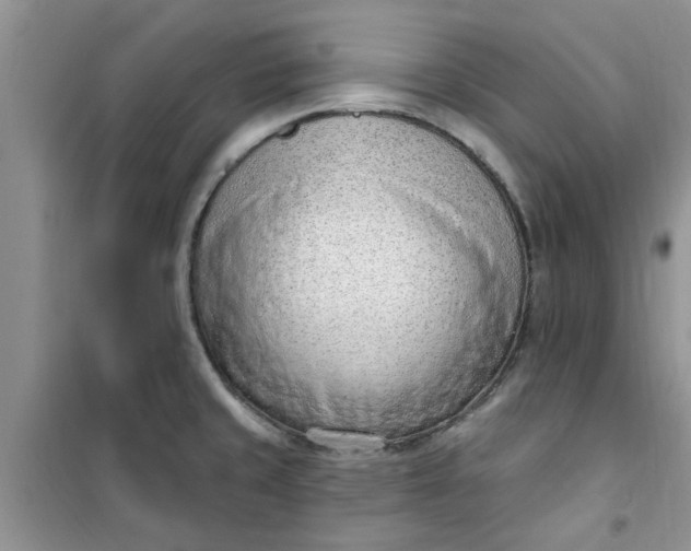 X0000100961429200807081231