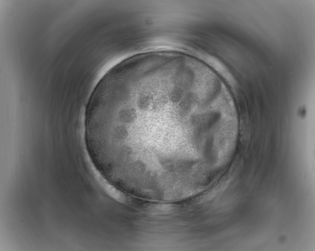 X0000100961431200807081231