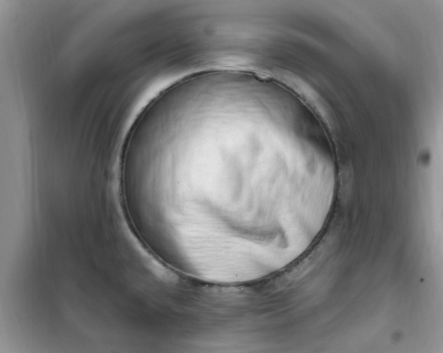 X0000100961432200807081231