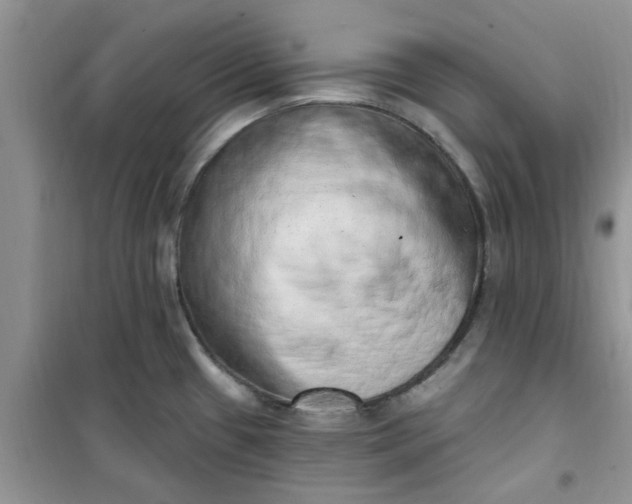 X0000100961433200807081231