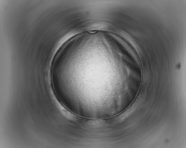 X0000100961434200807081231