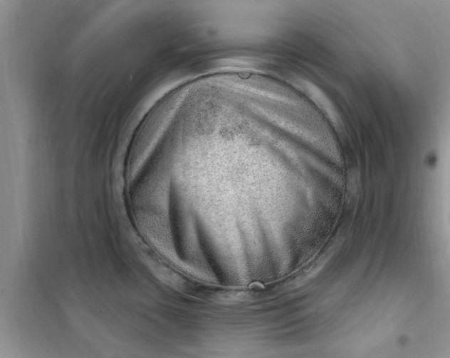 X0000100961435200807081231