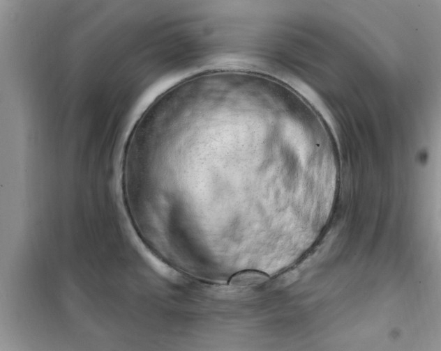 X0000100961437200807081231
