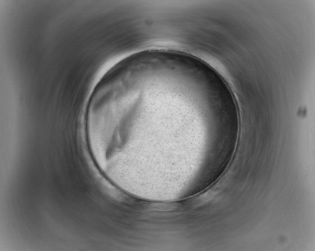 X0000100961440200807081231