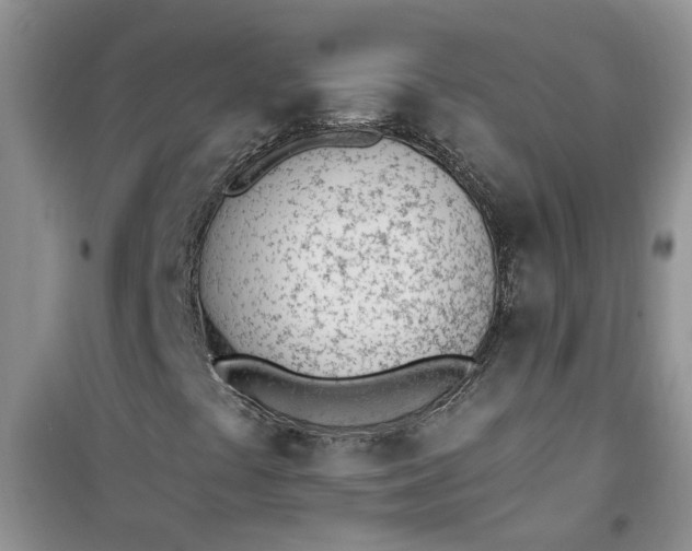 X0000100961441200807081231