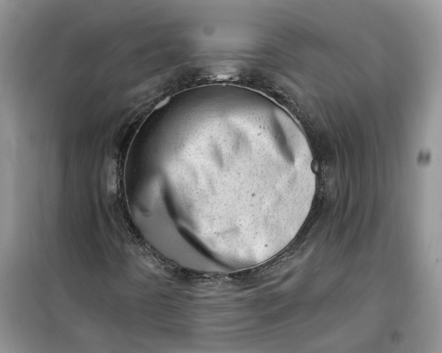 X0000100961442200807081231