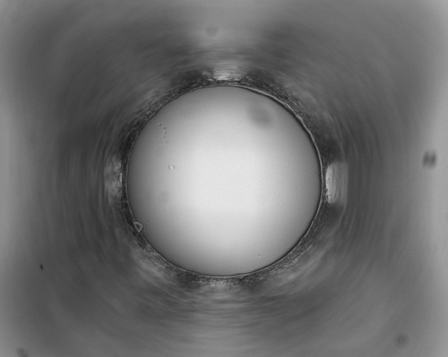 X0000100961443200807081231