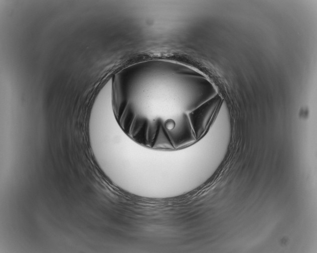 X0000100961444200807081231
