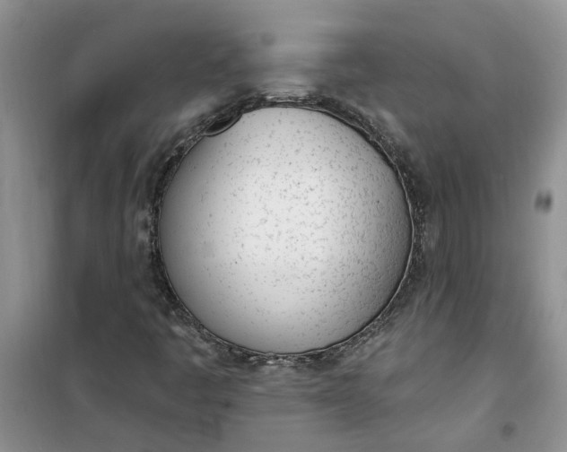 X0000100961445200807081231