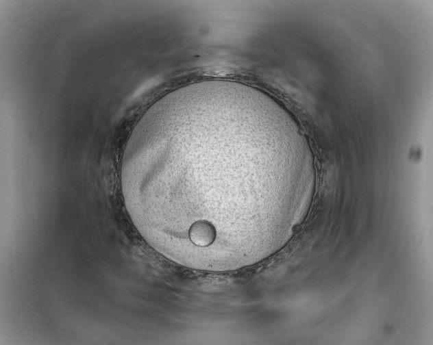 X0000100961446200807081230