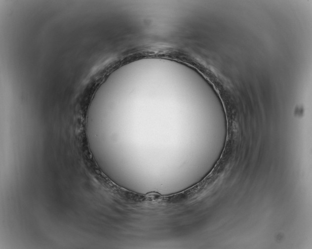 X0000100961447200807081230