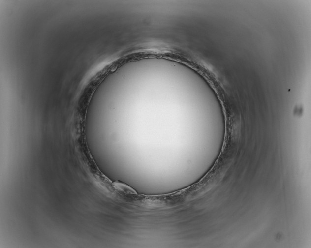 X0000100961448200807081230