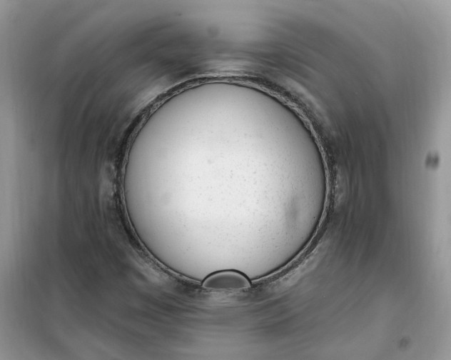 X0000100961449200807081230