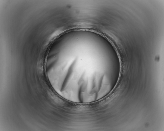 X0000100961451200807081230