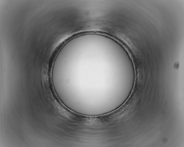 X0000100961452200807081230