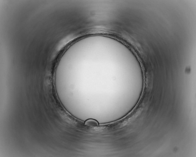 X0000100961453200807081230