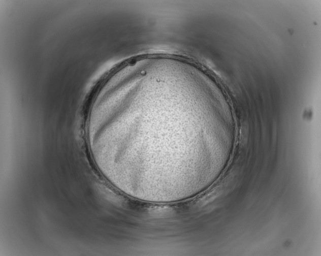 X0000100961454200807081230