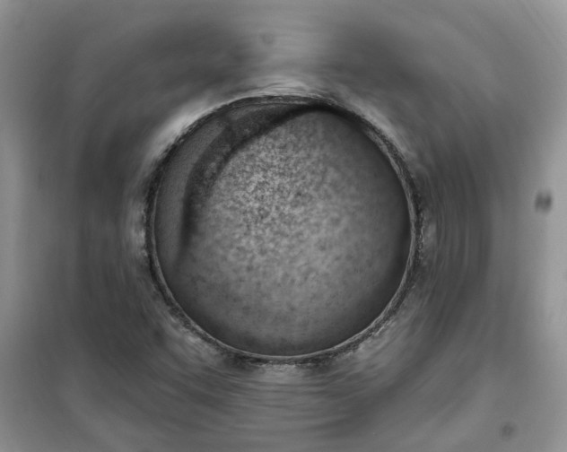 X0000100961455200807081230