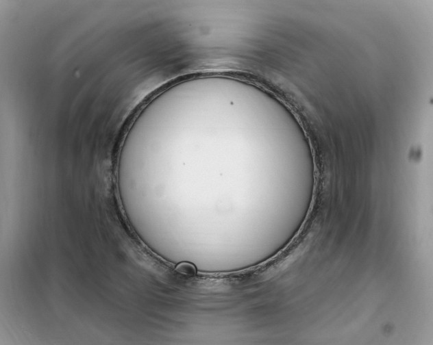 X0000100961457200807081230