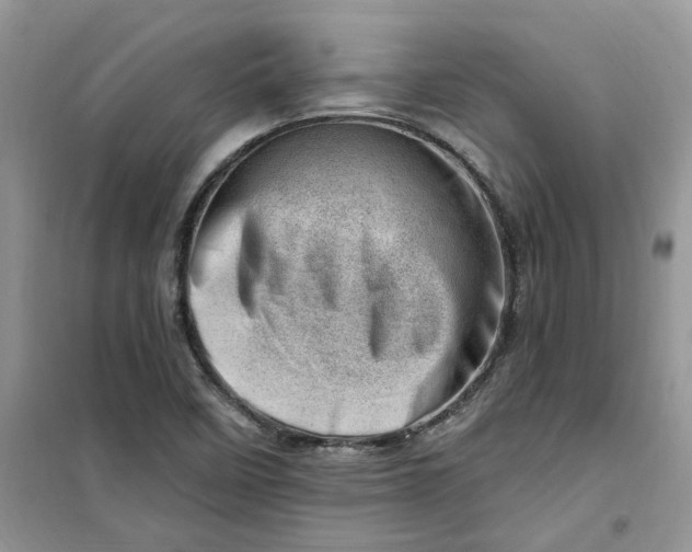 X0000100961458200807081230