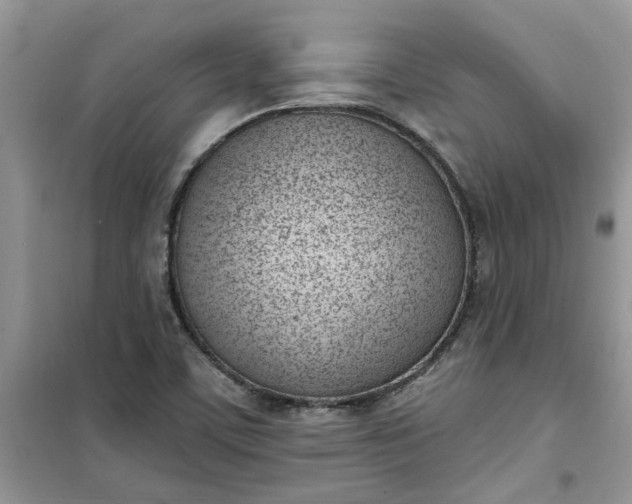 X0000100961459200807081230