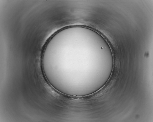 X0000100961460200807081230