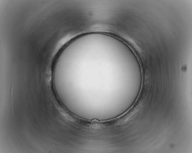 X0000100961461200807081230