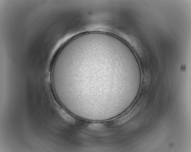 X0000100961462200807081230