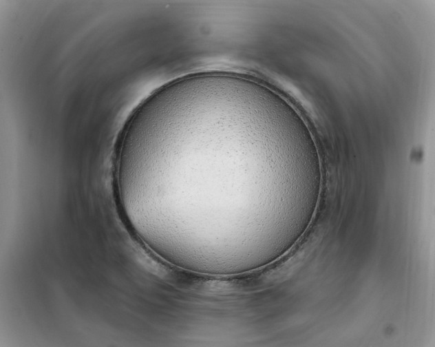 X0000100961463200807081230