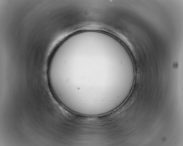 X0000100961464200807081230