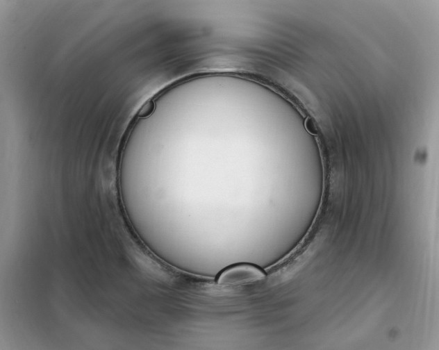 X0000100961465200807081230
