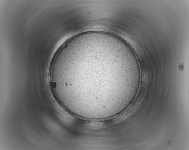 X0000100961466200807081230