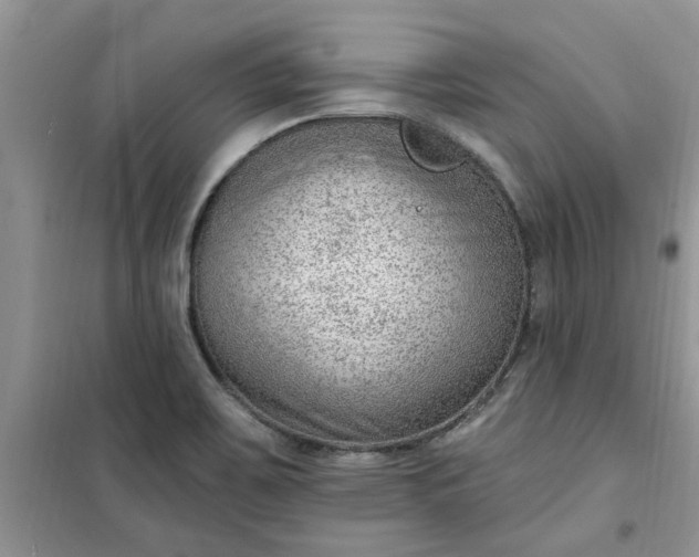 X0000100961467200807081230